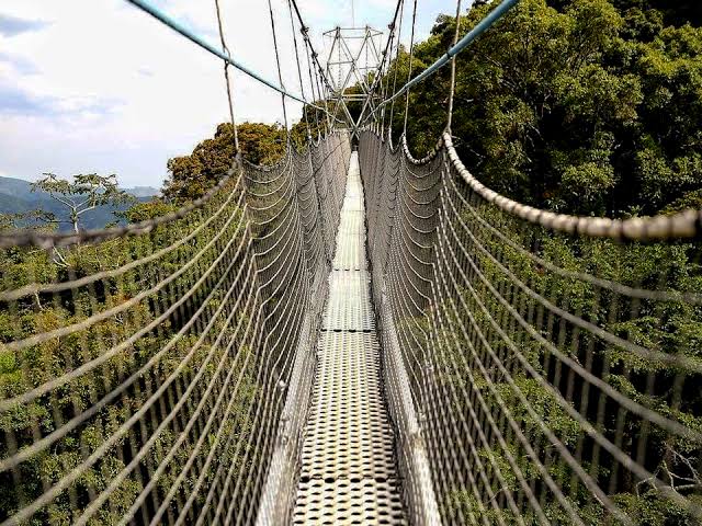 C:\Users\HP\Desktop\IMAGES\Canopy-Walk-in-Nyungwe-Forest.jpg