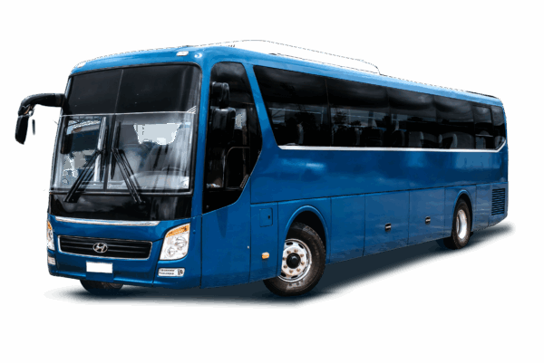Executive Bus