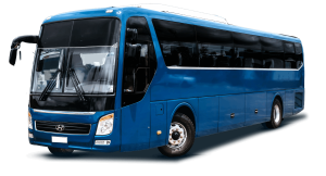 Bus Presidential 2-min