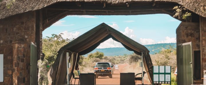 arrival-at-akagera-game-lodge_52049481653_o