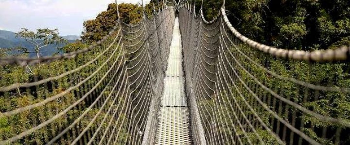 canopy-walk-in-nyungwe-1-3