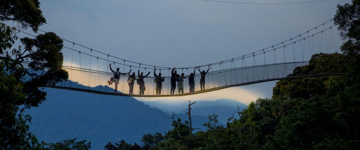 choreographer-sherrie-silver-discovers-nyungwe-national-park_50490384421_o