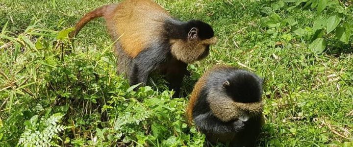 dbca01dca7b6ccf60c25da9-3