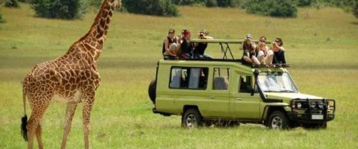 A family taking part in a gamedrive in Akagera National park